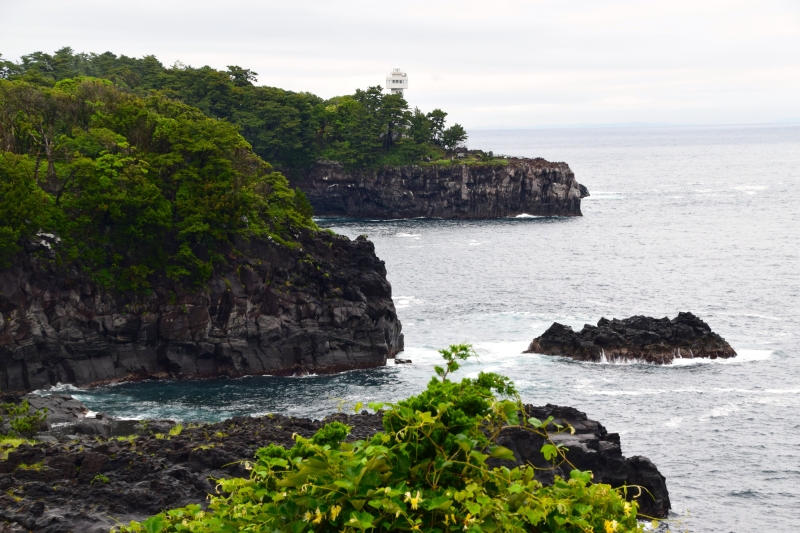 伊豆半島上的美麗海景