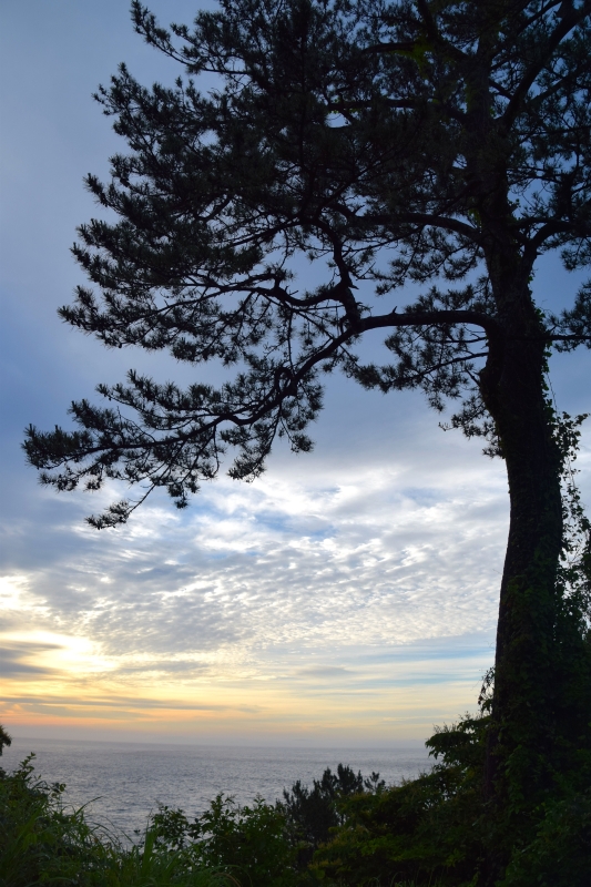 坐漁莊前，伊豆半島上的美麗日出