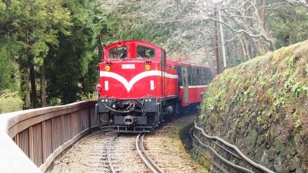 阿里山森林火車