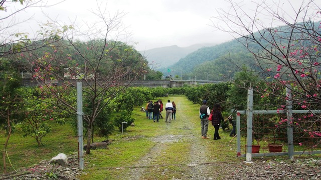 長立果園