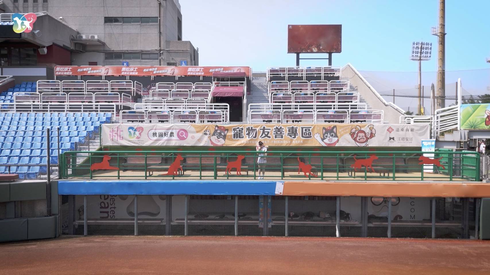 桃園市政府持續打造寵物友善城市。圖/桃園市政府動物保護處