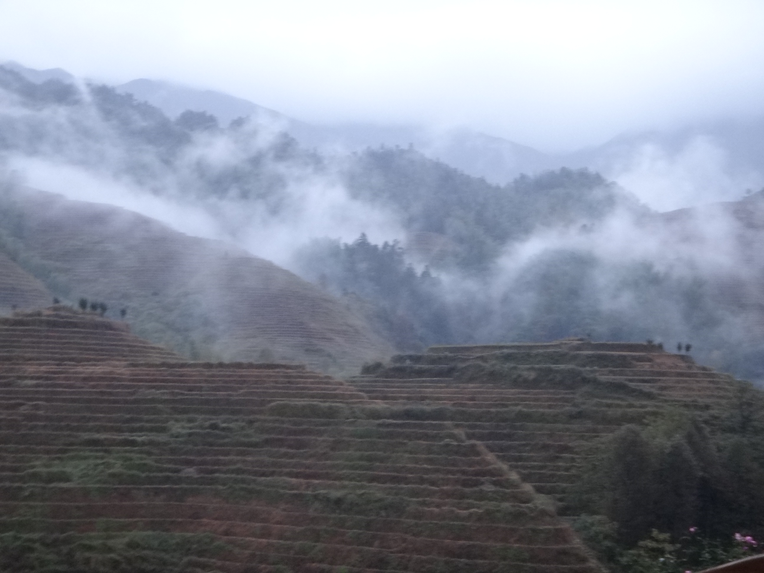 雲霧裊繞的傍晚山景
