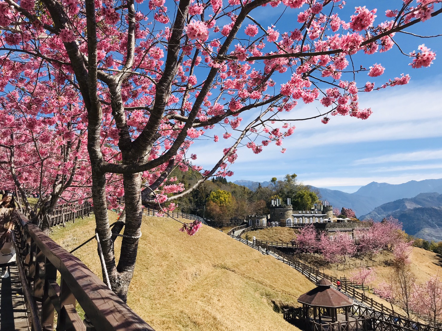 清境農場