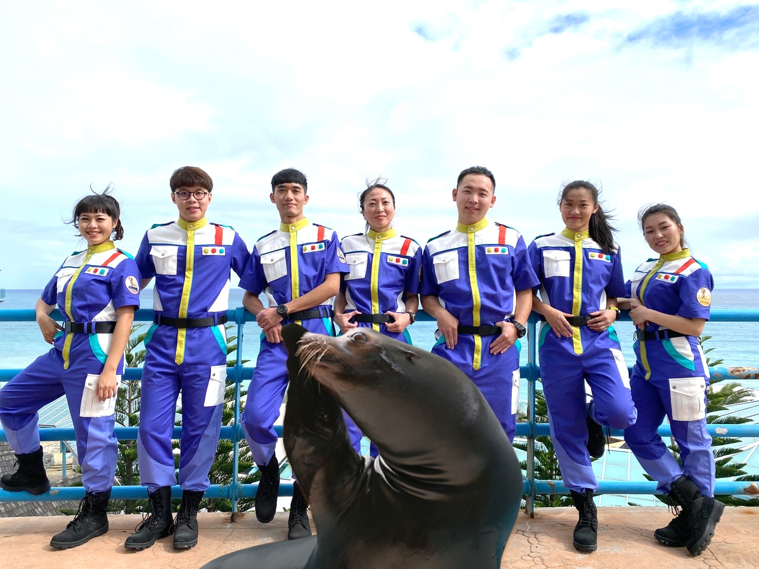 海獅巡警隊（圖／遠雄海洋公園提供）